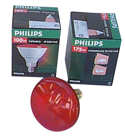 Philips-Sparbirne 175 W Karton a 12