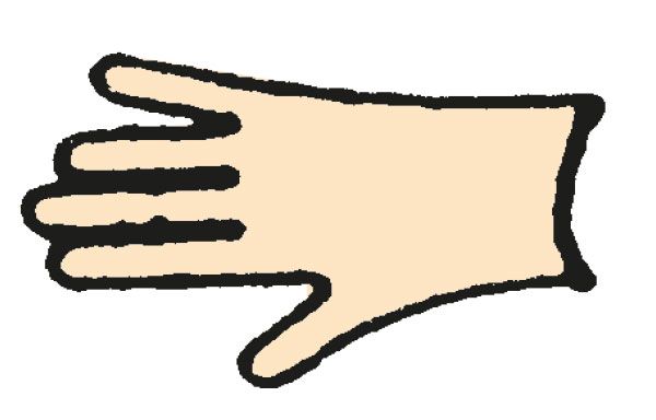 Handschuhe - Einmalhandschuhe, 34 cm lang HY 134